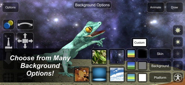 Gecko Mannequin(圖7)-速報App