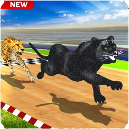 Crazy Wild Black Panther Race iOS App