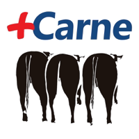 Matsuda Carne