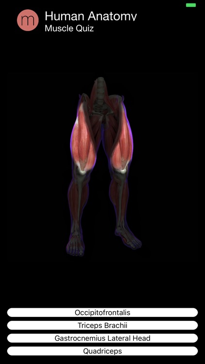 Muscle Quiz screenshot-3