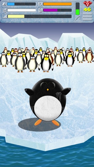 My Penguin X(圖3)-速報App