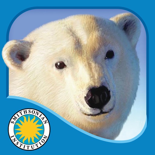 Polar Bear Horizon iOS App