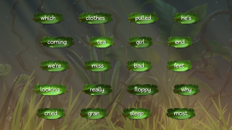 High Frequency Words 2 screenshot-5