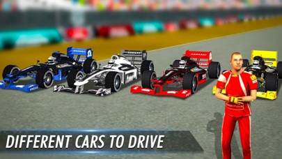 Formula Car Race Simulator Screenshot
