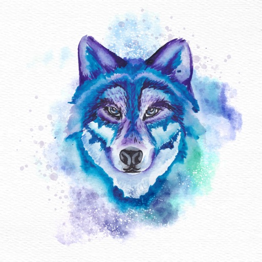 Cute Animal Faces