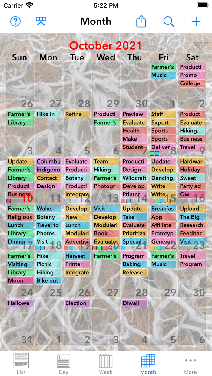 Perspectiva Calendars Charts