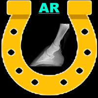 AR Horses Xrays Helper