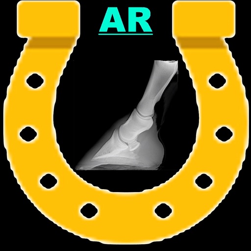 AR Horses Xrays Helper icon