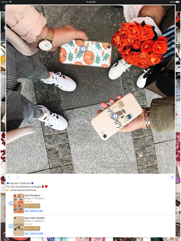 3G myCase iPad screenshot 5 - Shopping app