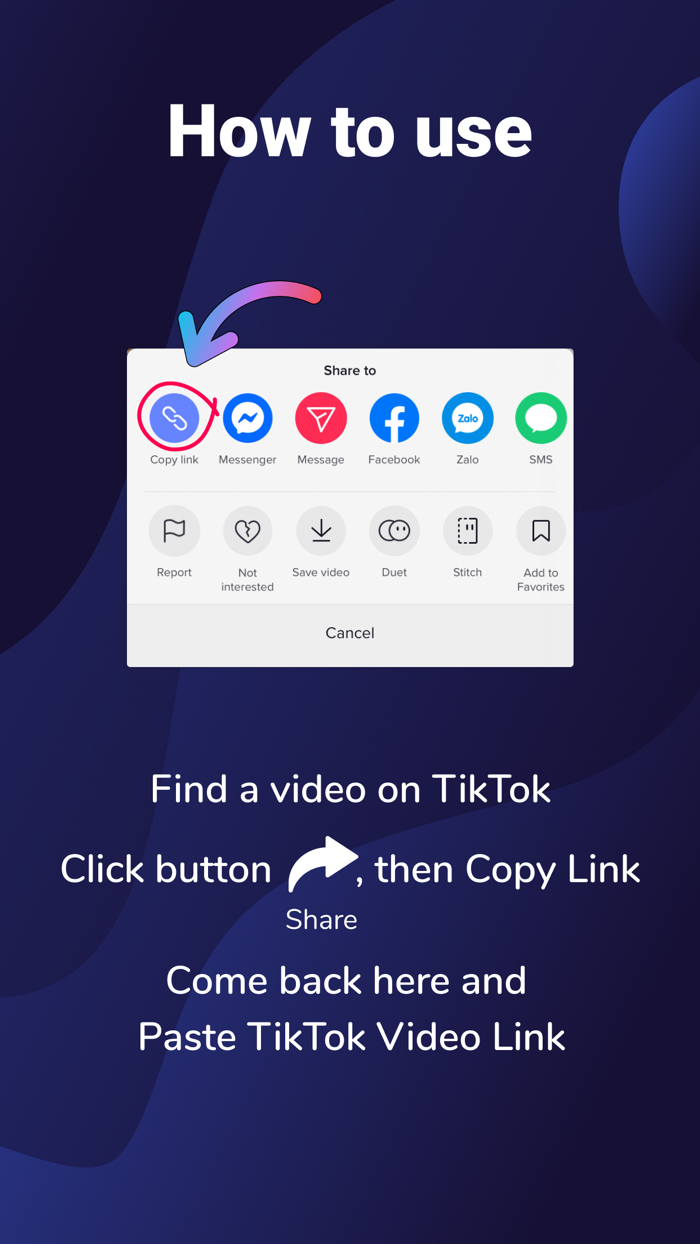 SaveTiks Video Manager