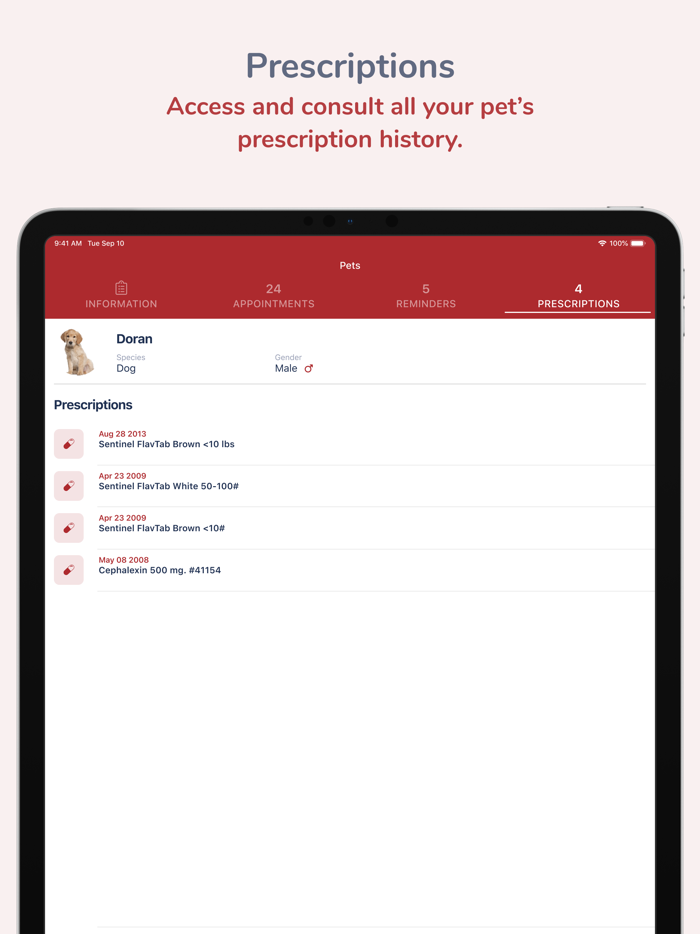 Mukilteo Veterinary Hospital