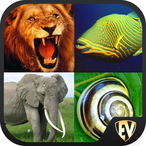 Animals Encyclopedia Guide