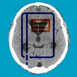 Shunt Diary Headache Tracker app icon