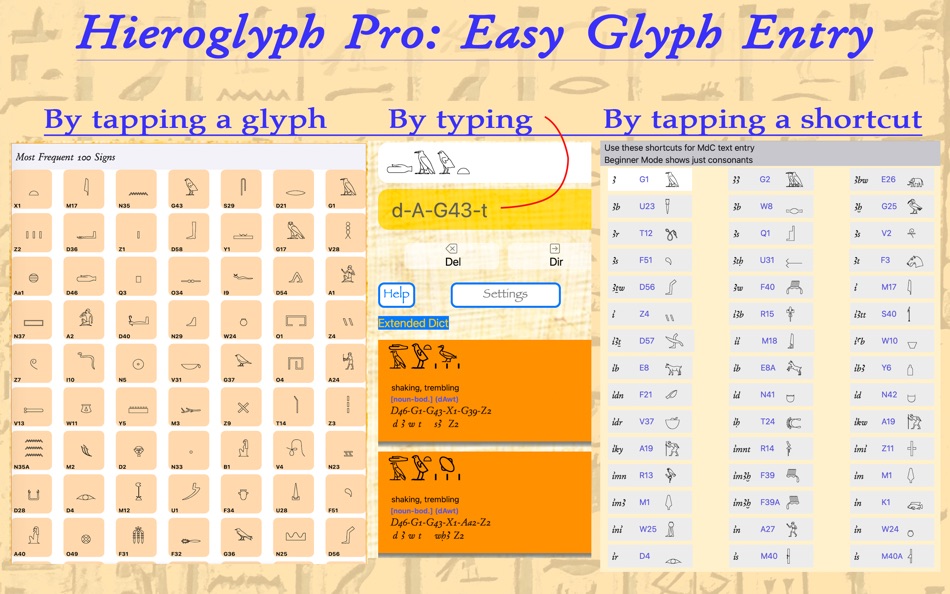 #2. Hieroglyph Pro/Desk (macOS) 由: Aviametrix, LLC