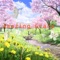 This app contains hundreds uplifting Christian songs, accompanied by colorful pictures, for you to listen to on a daily basis