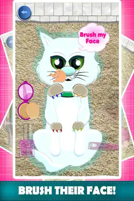 Game screenshot Pet Kitty Care Wash & Dressup apk