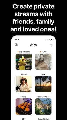 Game screenshot Ekko - shared photo widget hack