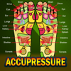 Accupressure Yoga Point Tips - LEARNING GAME APPS PRIVATE LIMITED