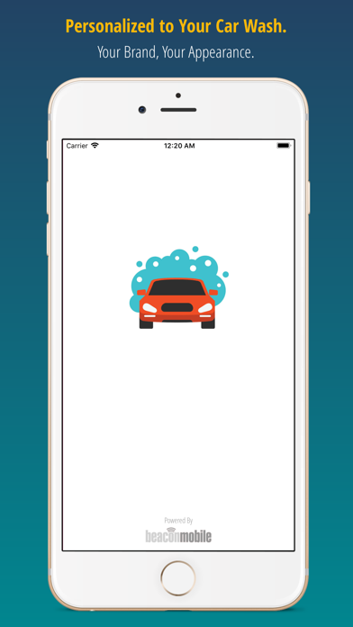 Car Wash Attendant Screenshot