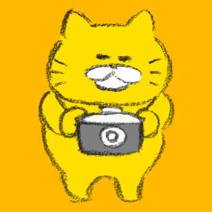 Stray Cats Camera Читы