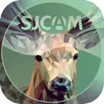 CatchCam App Alternatives