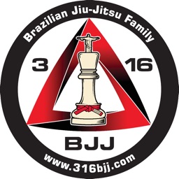 316 BJJ