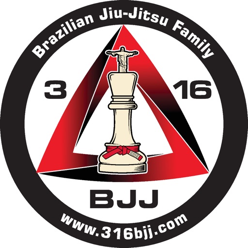 316 BJJ