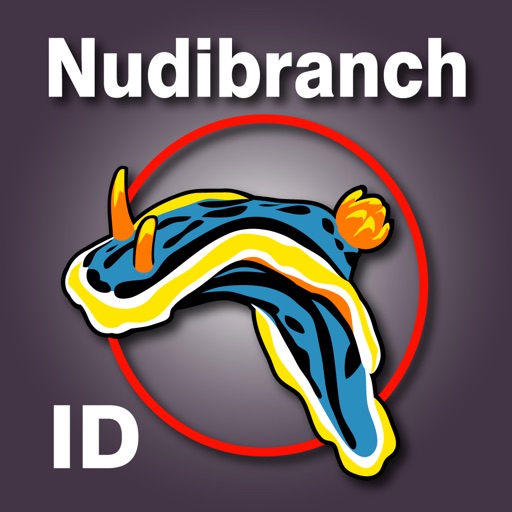 Nudibranch ID Western Pacific