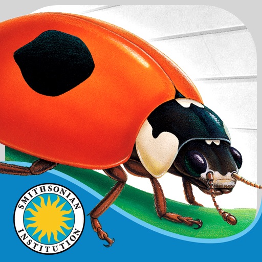 Ladybug at Orchard Avenue icon