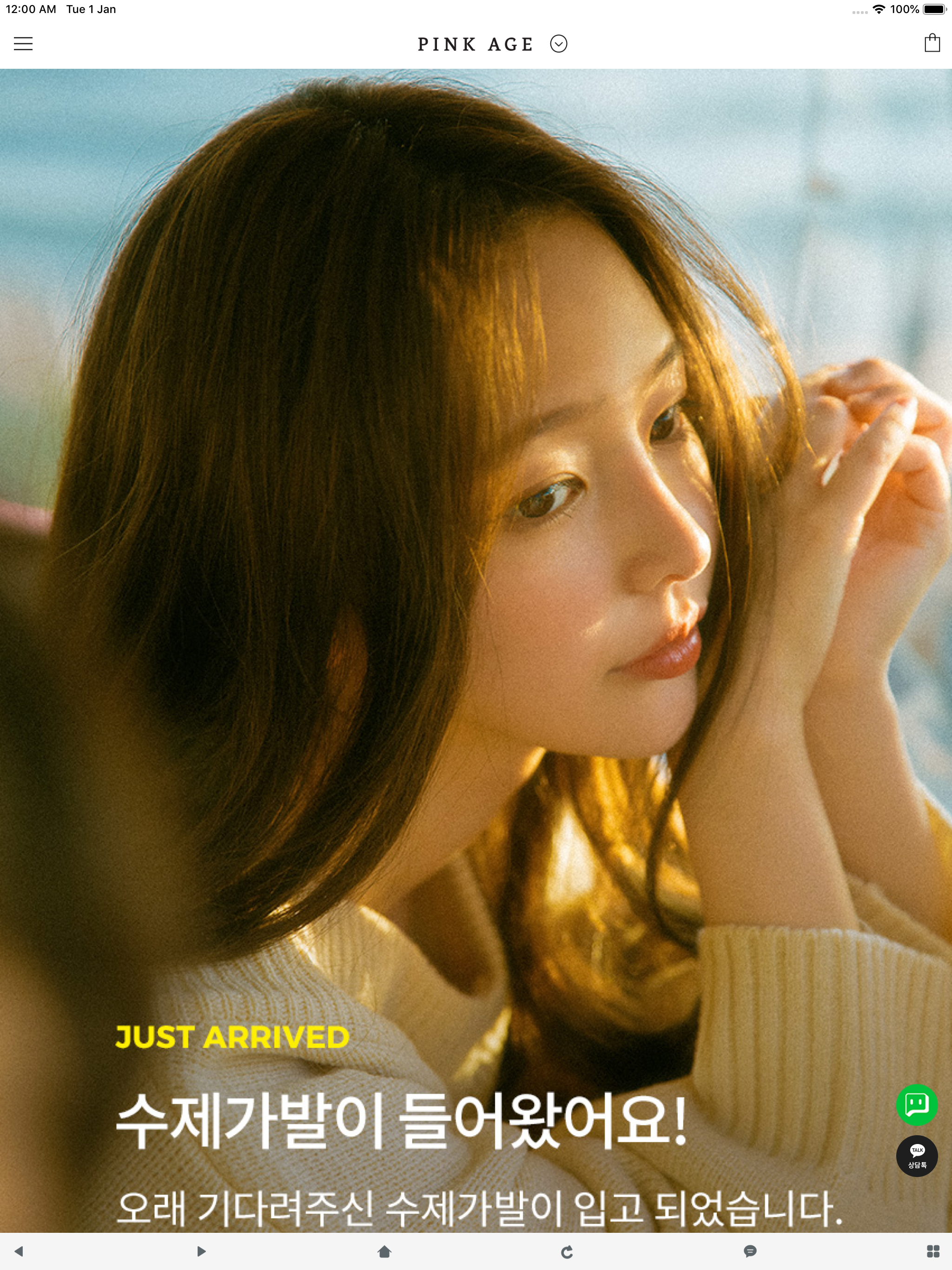 핑크에이지 PINK AGE
