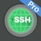 iTerminal Pro is the Pro Version of iTerminal on iPhone and iPad