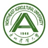 东北农业大学体育部 icon
