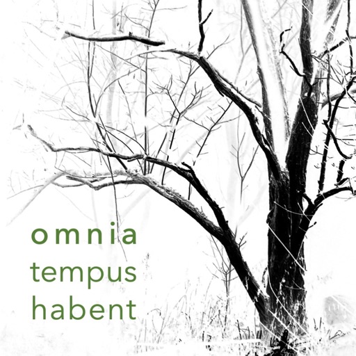 omnia tempus habent
