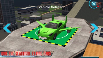 Flying Car Real Driving screenshot 2