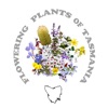 Flowering Plants of Tasmania icon