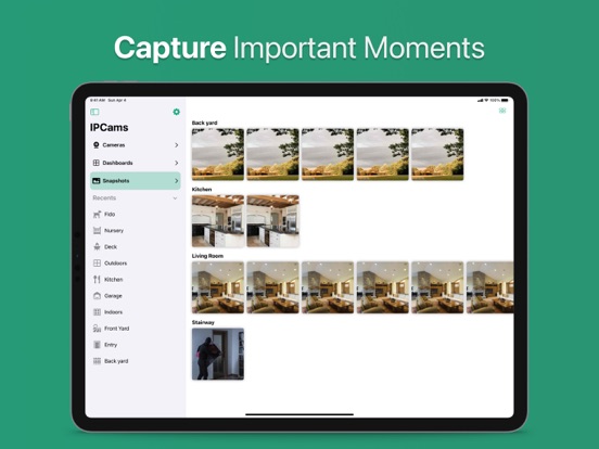 IP Camera Viewer - IPCams iPad app afbeelding 4