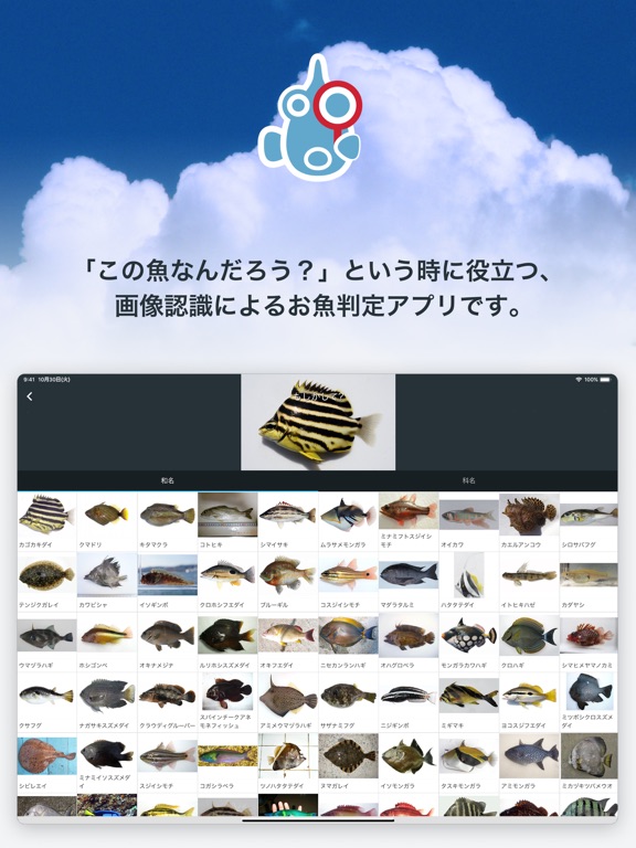 魚みっけのおすすめ画像1