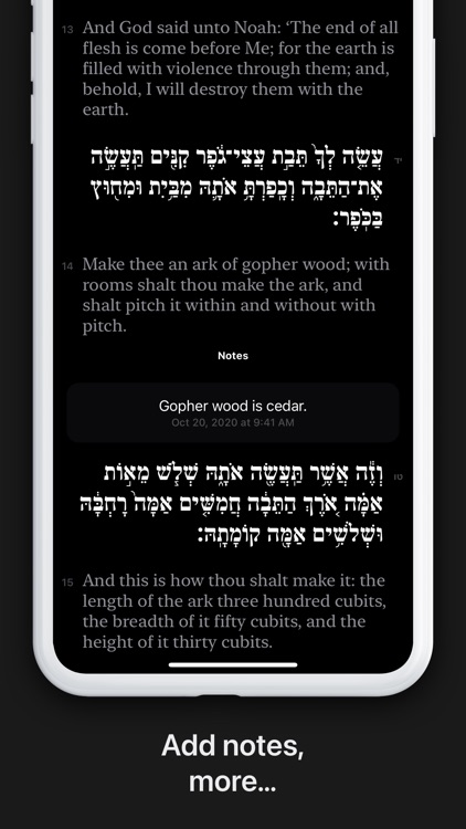 Shnayim screenshot-3