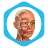 Medical Terminology Learning - Ameer Moosa