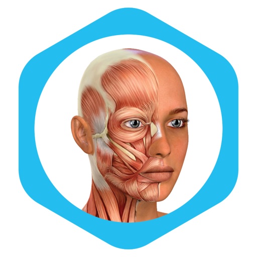 Medical Terminology Learning iOS App