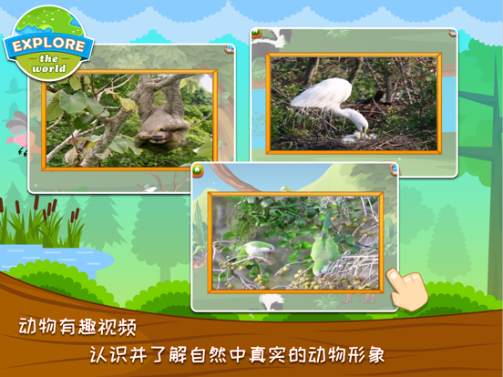 宝宝拼图游戏:湿地总动员之亚马逊动物乐园のおすすめ画像6