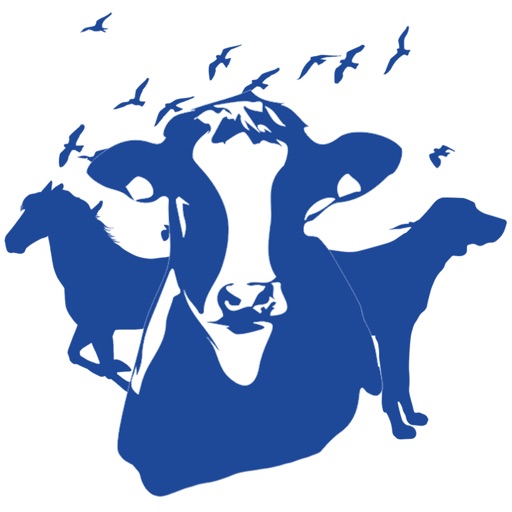 Doctor For Animals-Vet Doctor