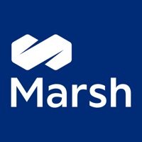 MarshMotor app funktioniert nicht? Probleme und Störung