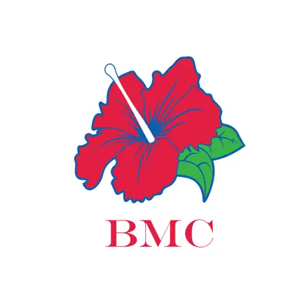BorinquenCare Cheats