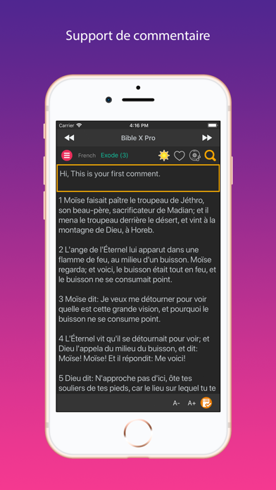 Screenshot #2 pour French Bible Louis Segond