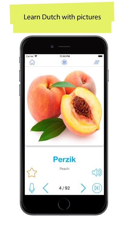 Dutch 90.000 Words & Pictures