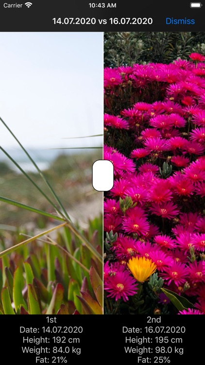 Athletishe - Workout & Measure screenshot-4