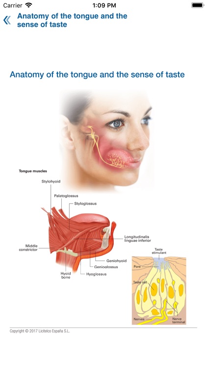 Dentistry Mini Atlas screenshot-4