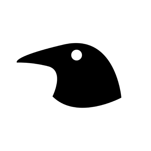 Raven - flying news! icon