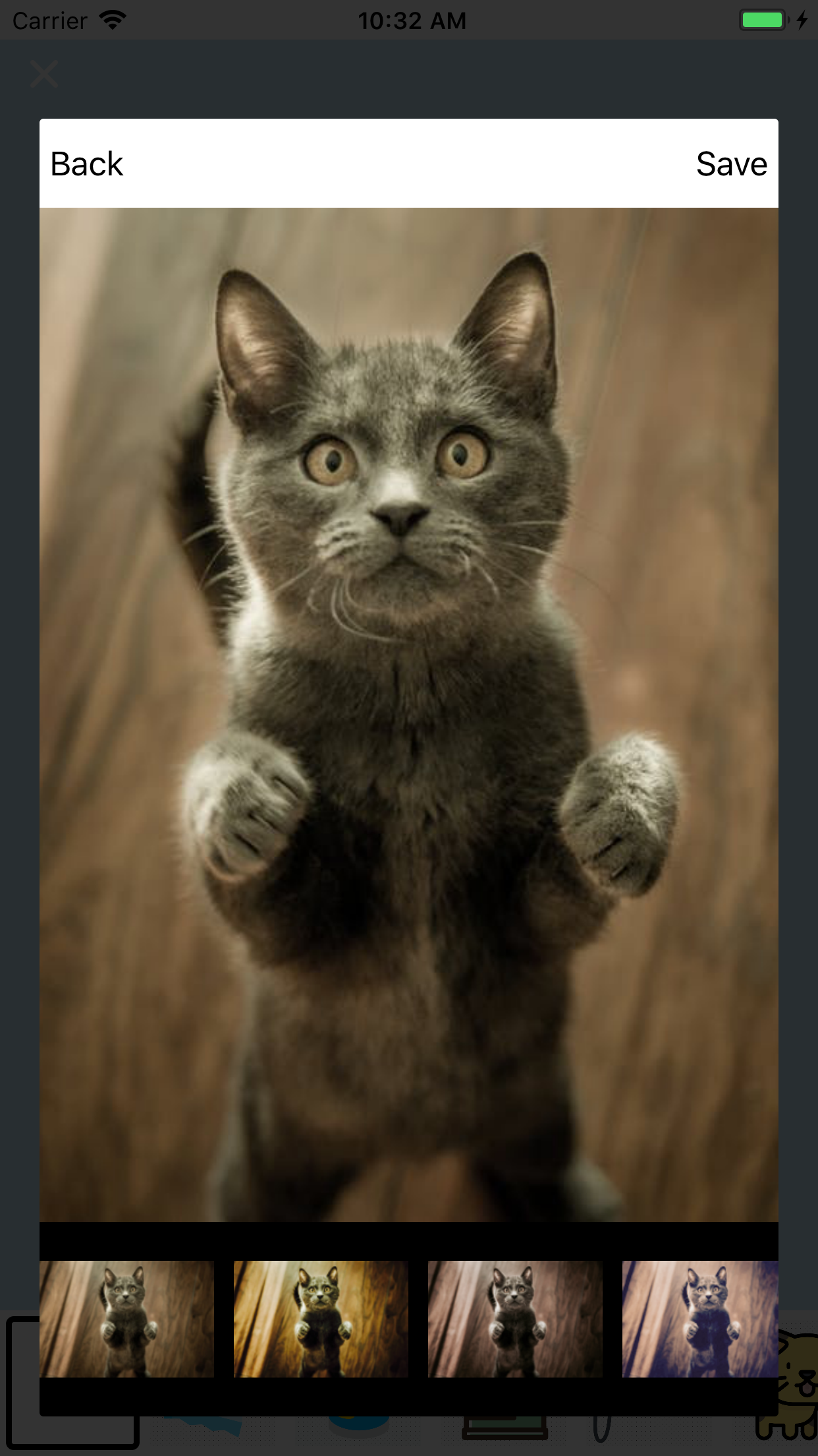My awesome Pet Shots screenshot 5